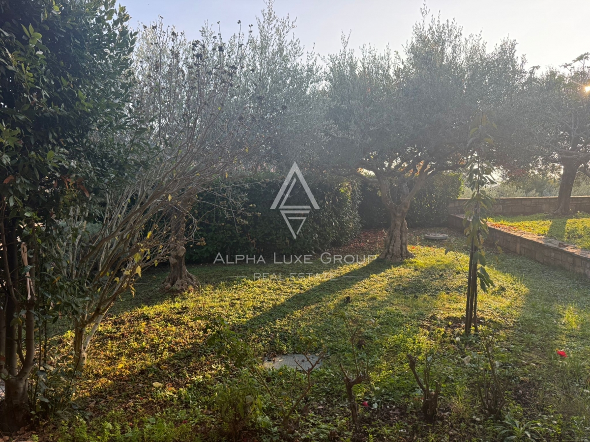 Istria, Buie: Casa in pietra con giardino