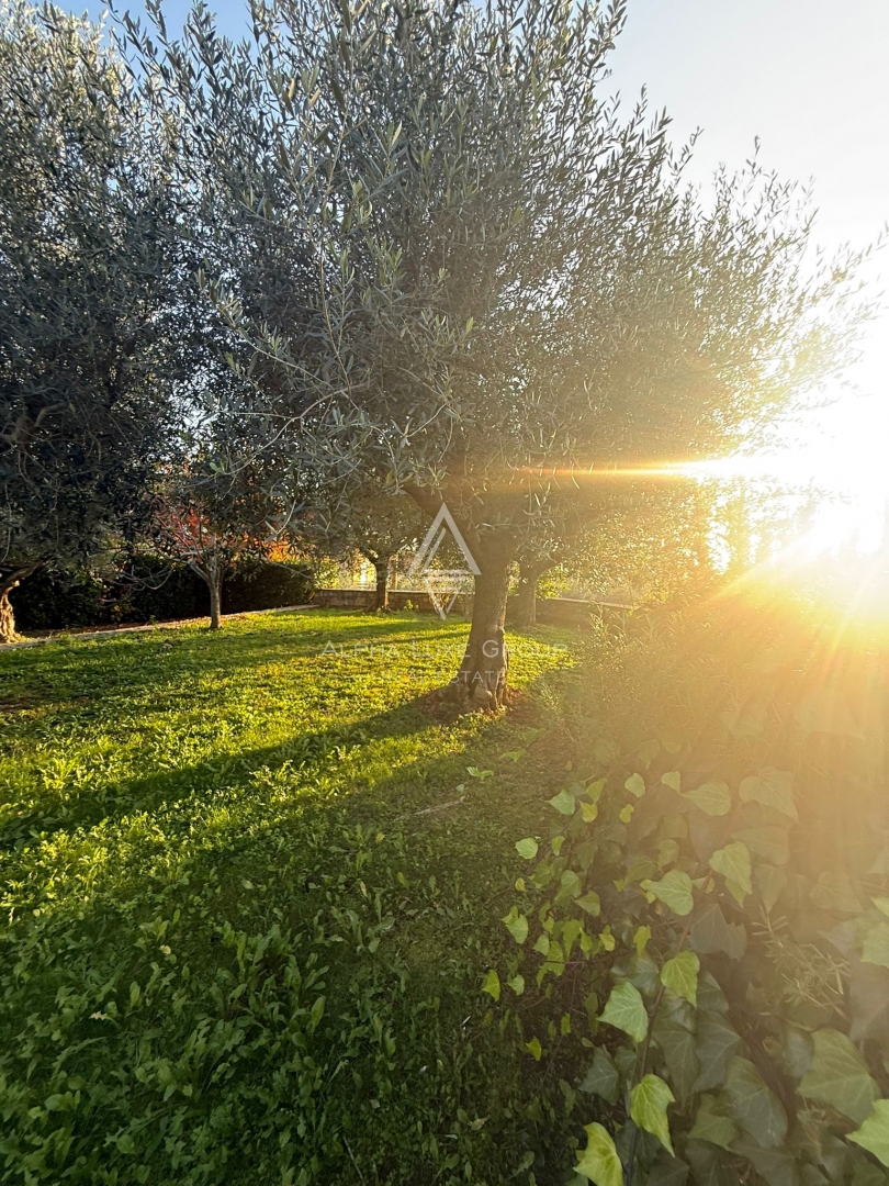 Istria, Buie: Casa in pietra con giardino