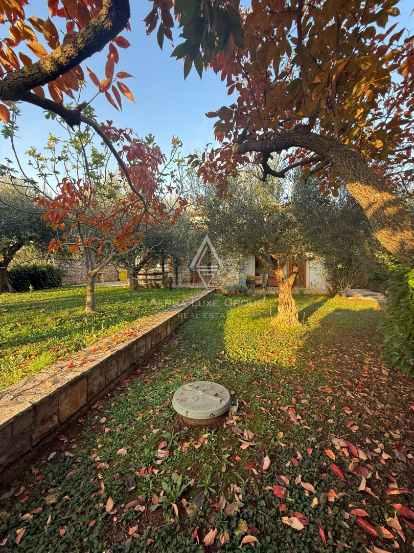 Istria, Buie: Casa in pietra con giardino