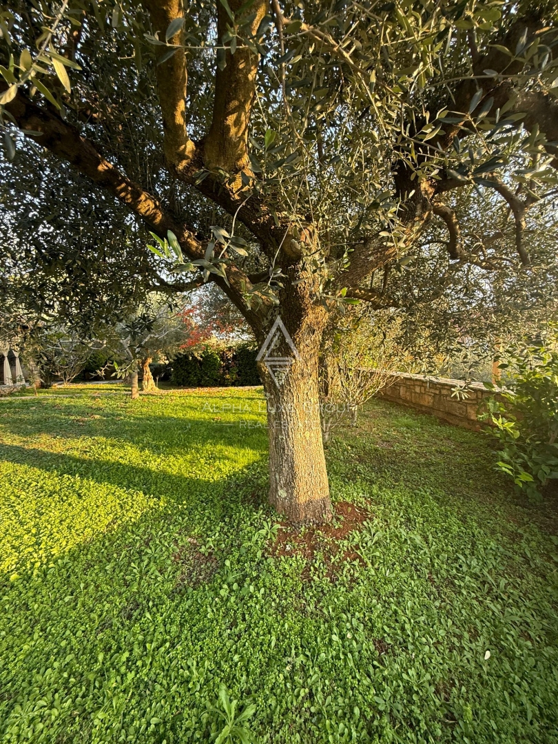 Istria, Buie: Casa in pietra con giardino