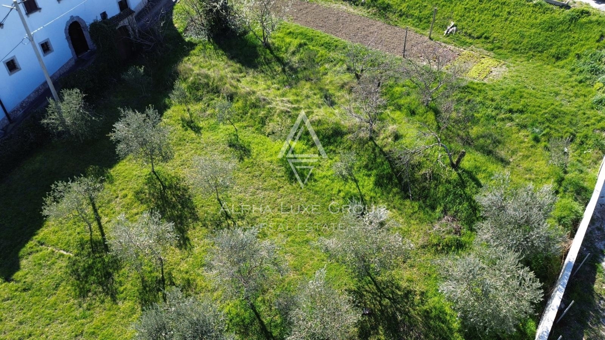 Istria, Vižinada: Terreno edificabile vista panoramica