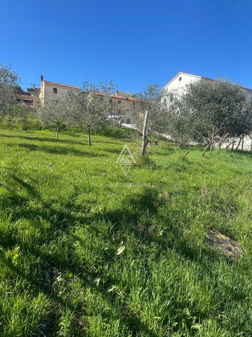 Istria, Vižinada: Terreno edificabile vista panoramica
