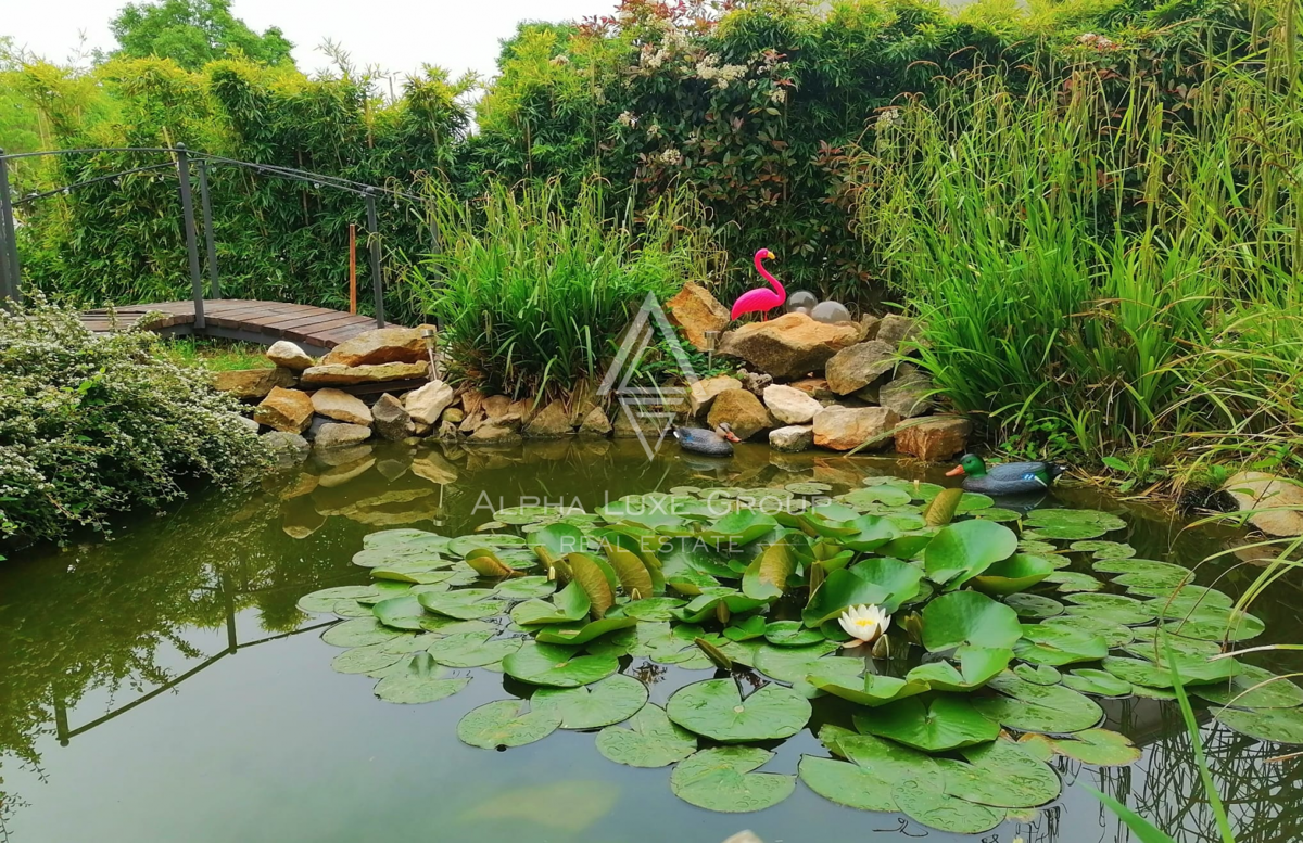 Istria, Poreč: Casa moderna con piscina e mare