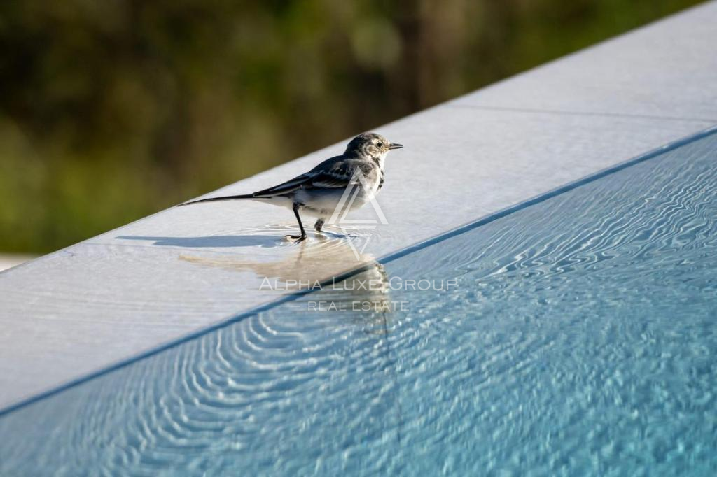 Istria, Momjan: Villa di lusso con vista panoramica