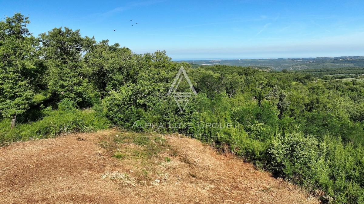Istria, Vižinada - Terreno edificabile con vista panoramica