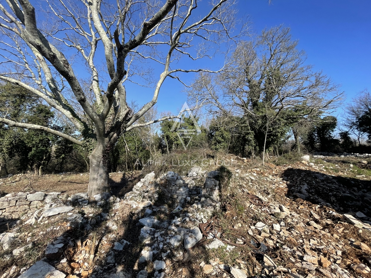 Buje, Istria – Villa moderna con piscina in zona tranquilla