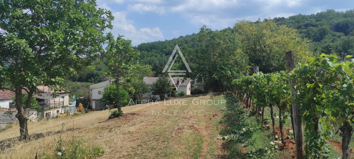 Terreno Motovun, 1.400m2