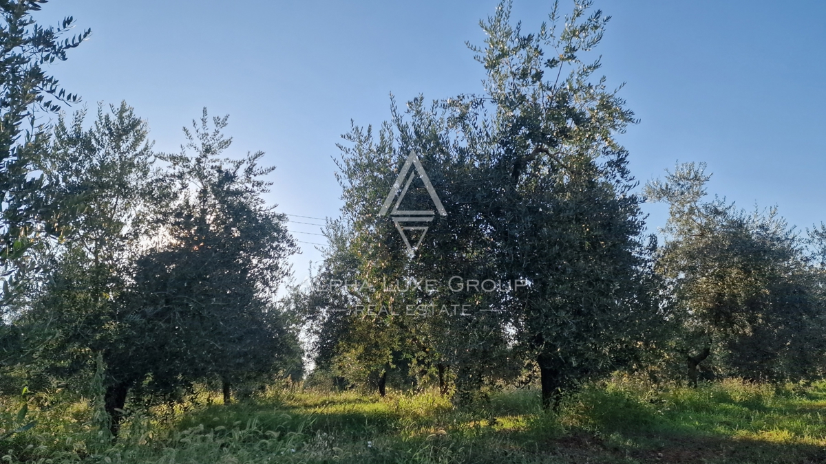 Terreno Umag, 10.292m2