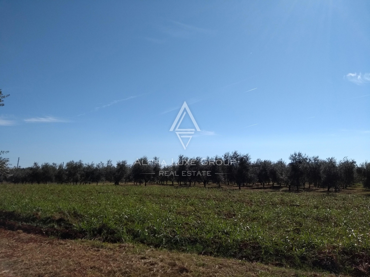 Terreno Umag, 10.292m2