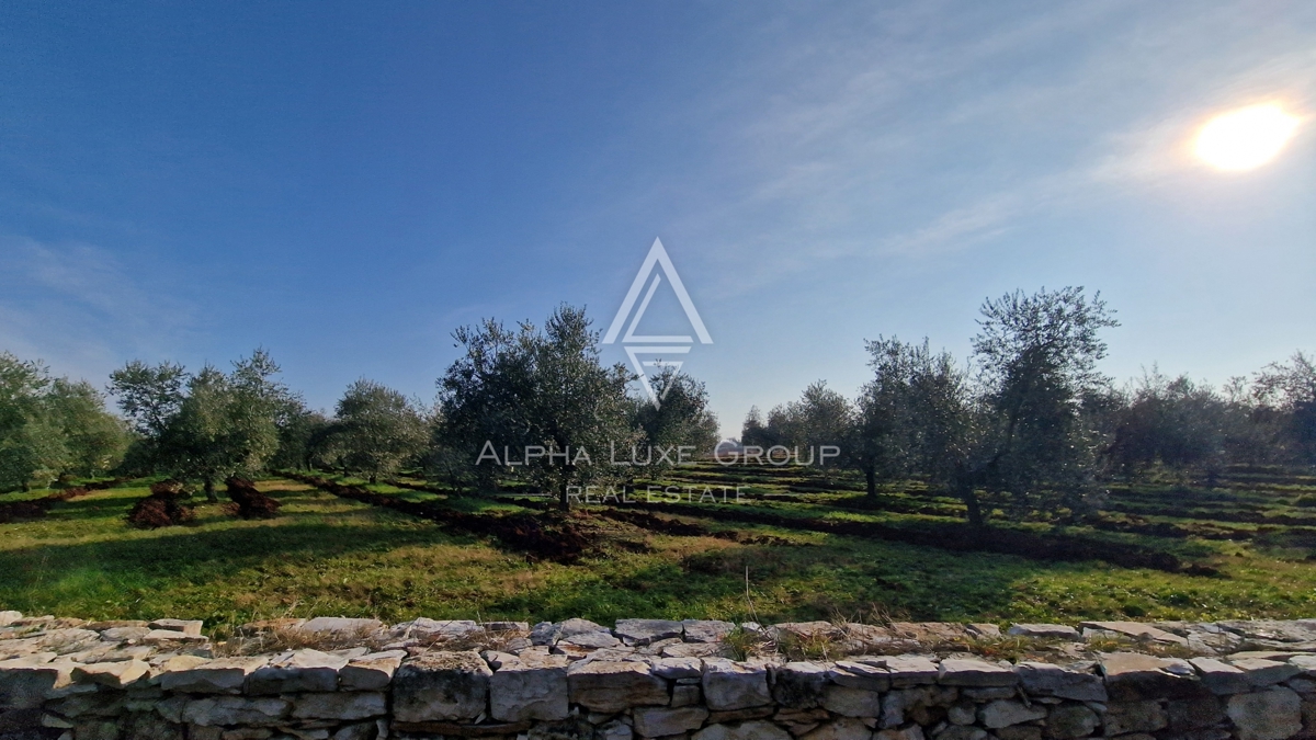 Terreno Umag, 10.292m2