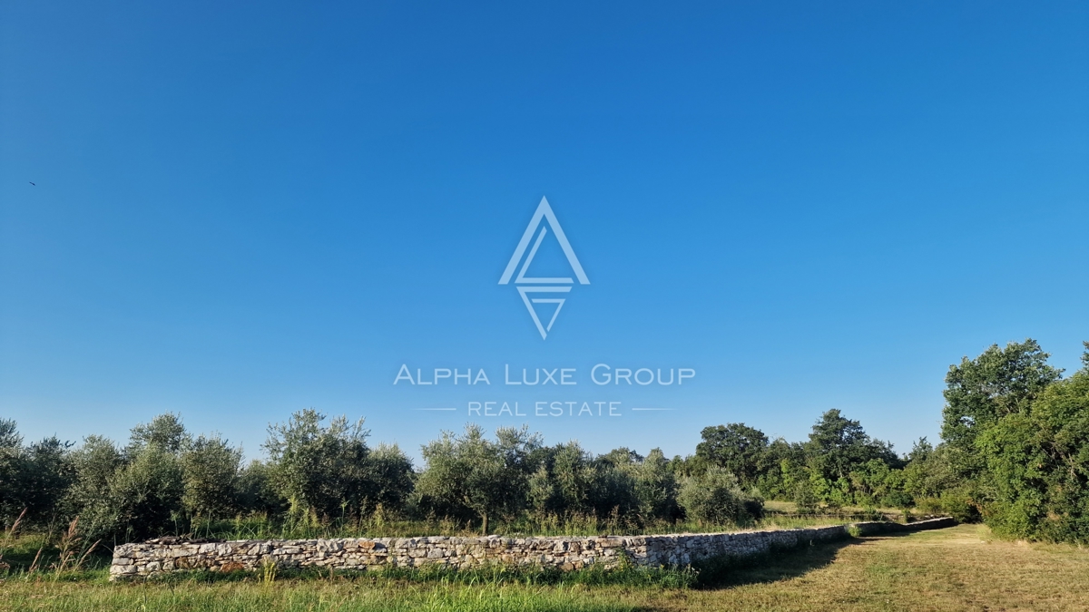 Terreno Umag, 10.292m2