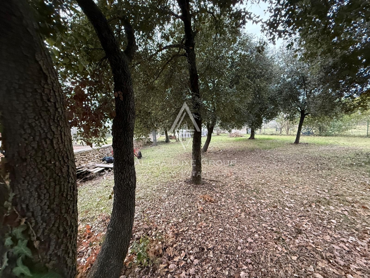 Istria, Rovigno – Casa con potenziale sviluppo