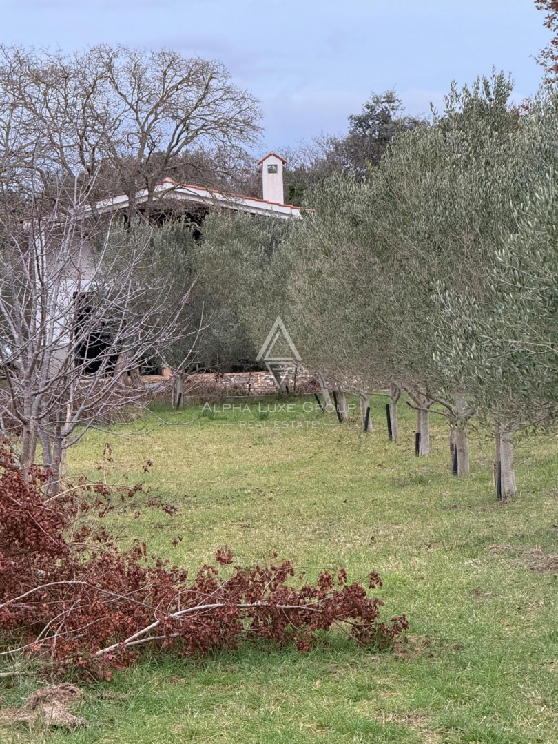Istria, Rovigno – Casa con potenziale sviluppo