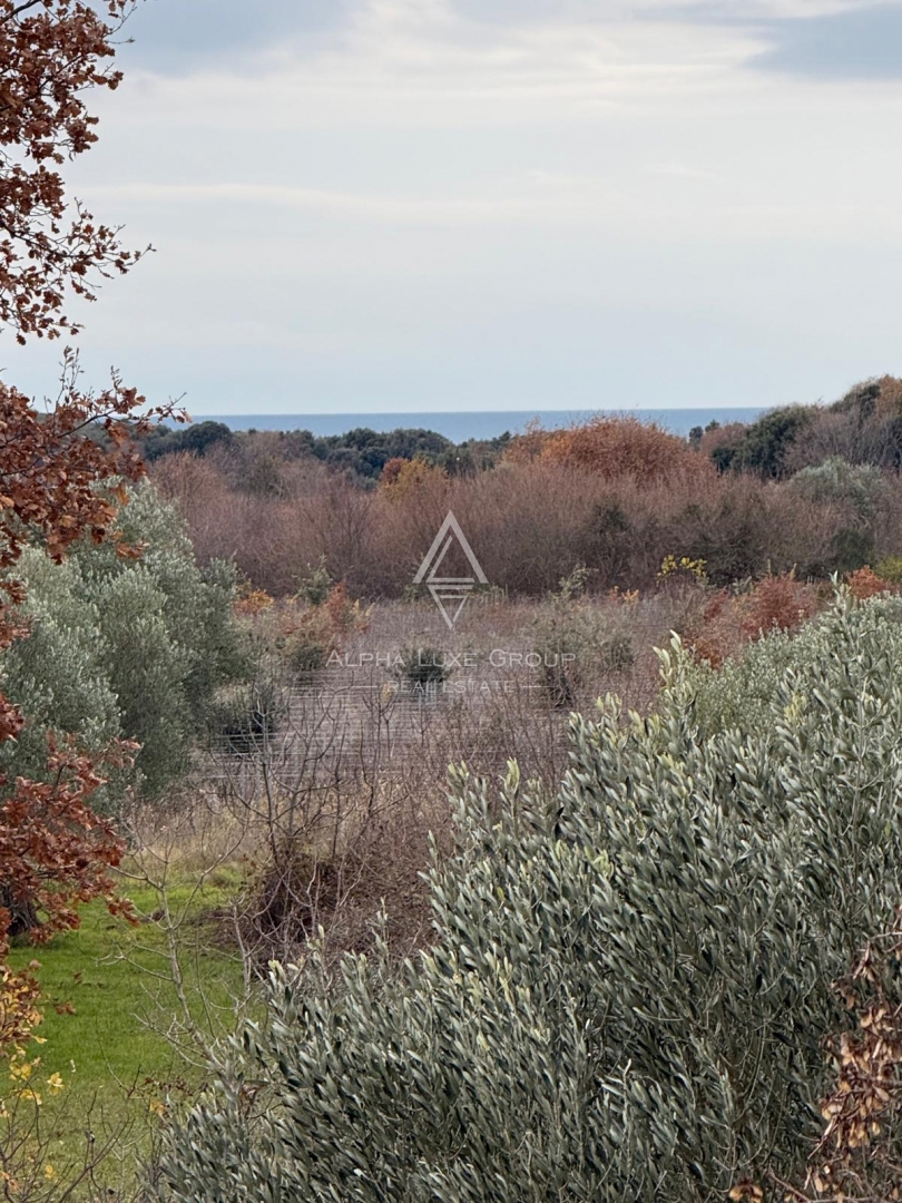 Istria, Rovigno – Casa con potenziale sviluppo