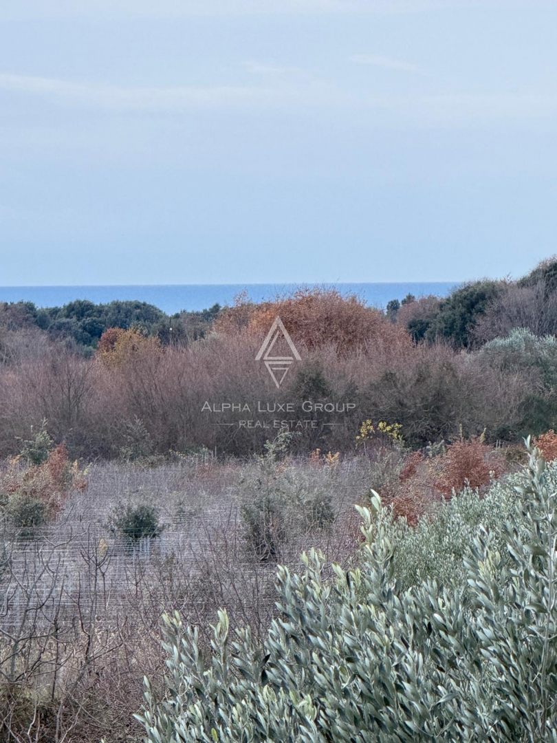 Istria, Rovigno – Casa con potenziale sviluppo