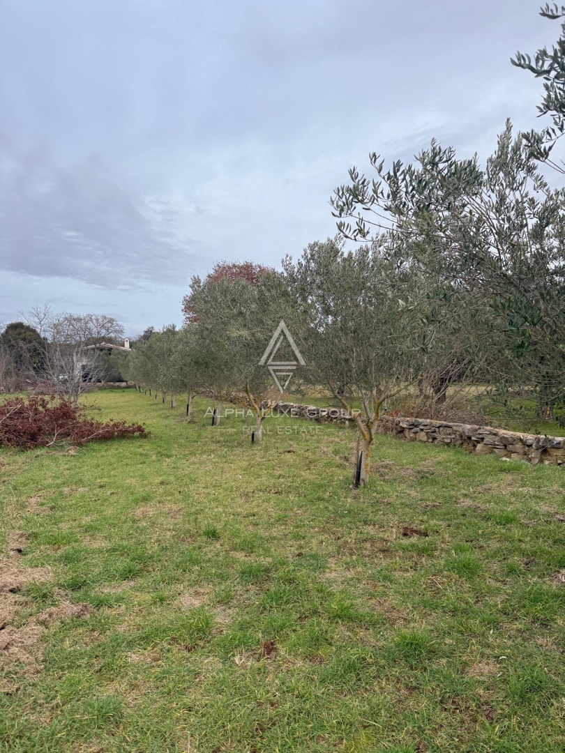 Istria, Rovigno – Casa con potenziale sviluppo