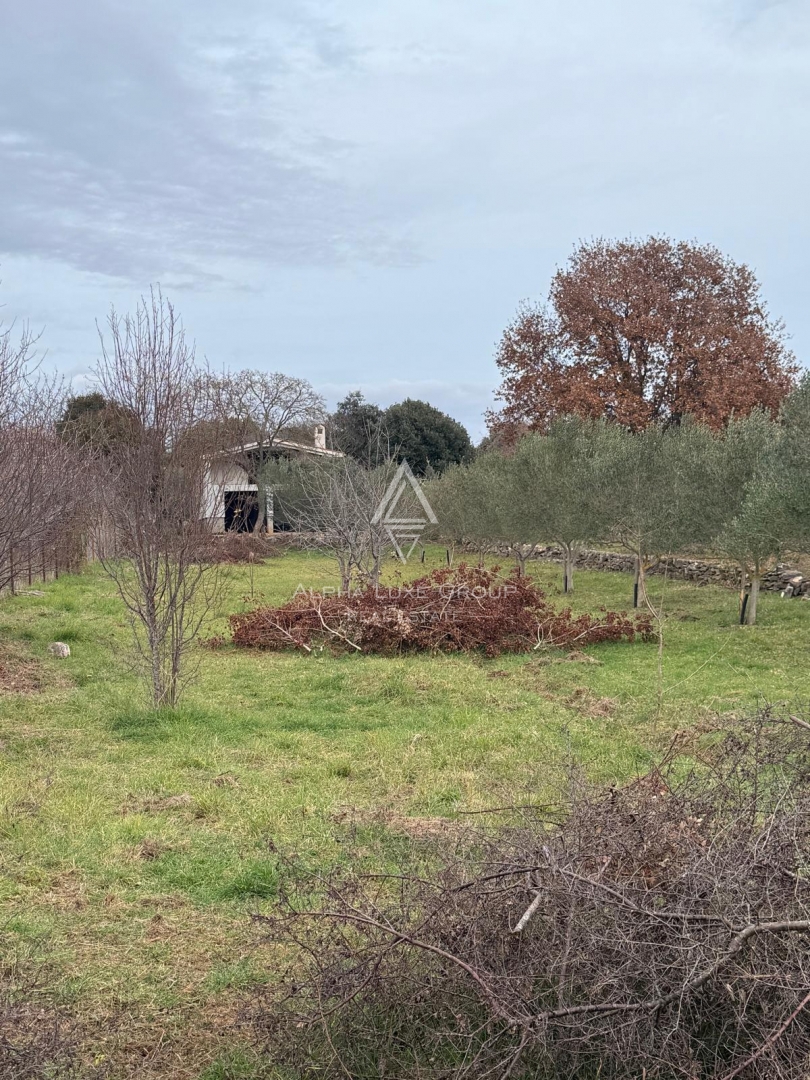 Istria, Rovigno – Casa con potenziale sviluppo