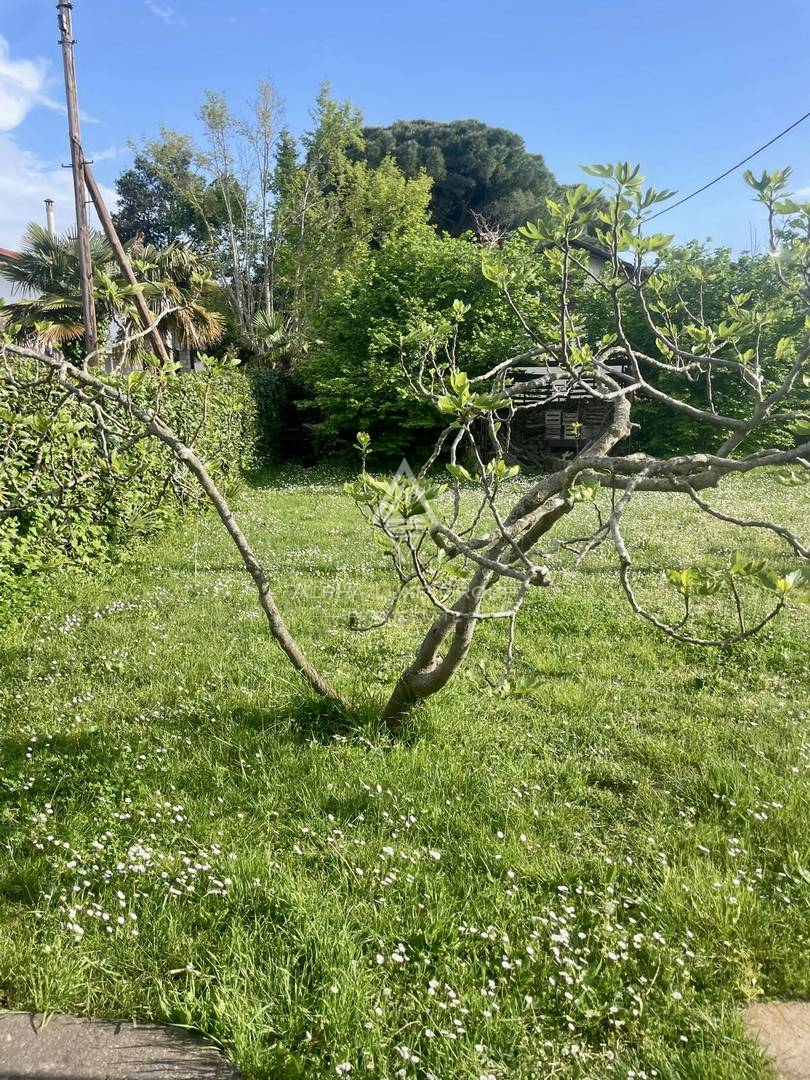 Istria, Umag: Casa 80 m spiaggia grande giardino