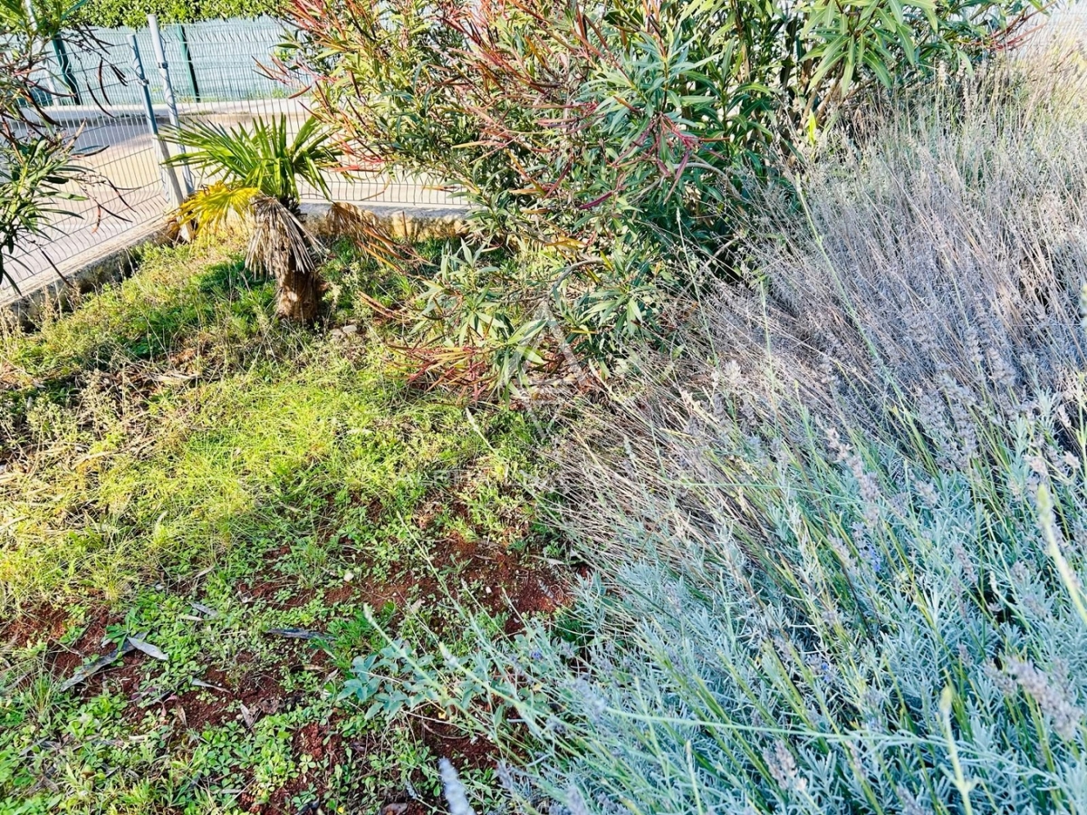 Istria, Novigrad, Appartamento al piano terra con grande giardino privato