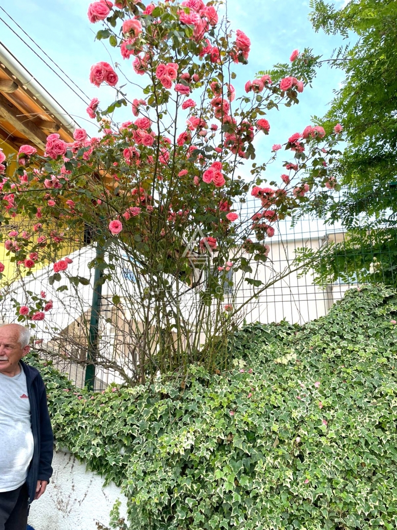 Appartamento Poreč, 61m2