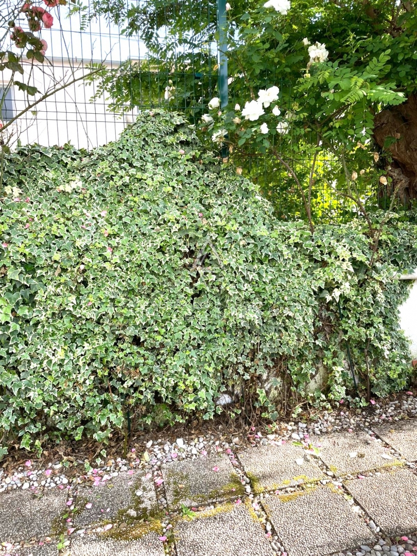 Appartamento Poreč, 61m2