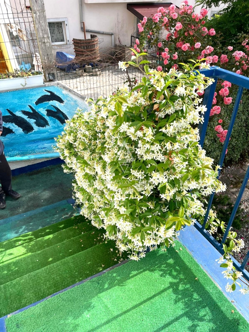 Appartamento Poreč, 61m2