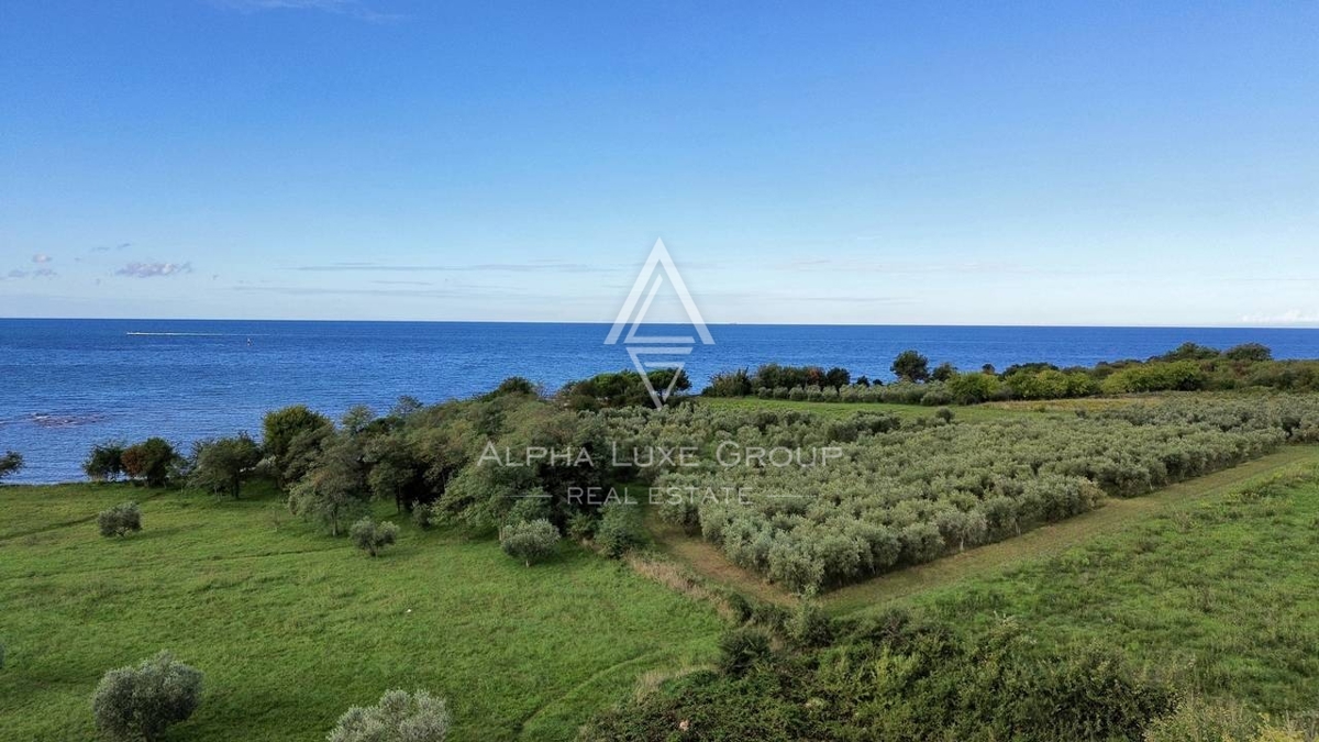 Istria, Salvore: Moderne case fronte mare con vista