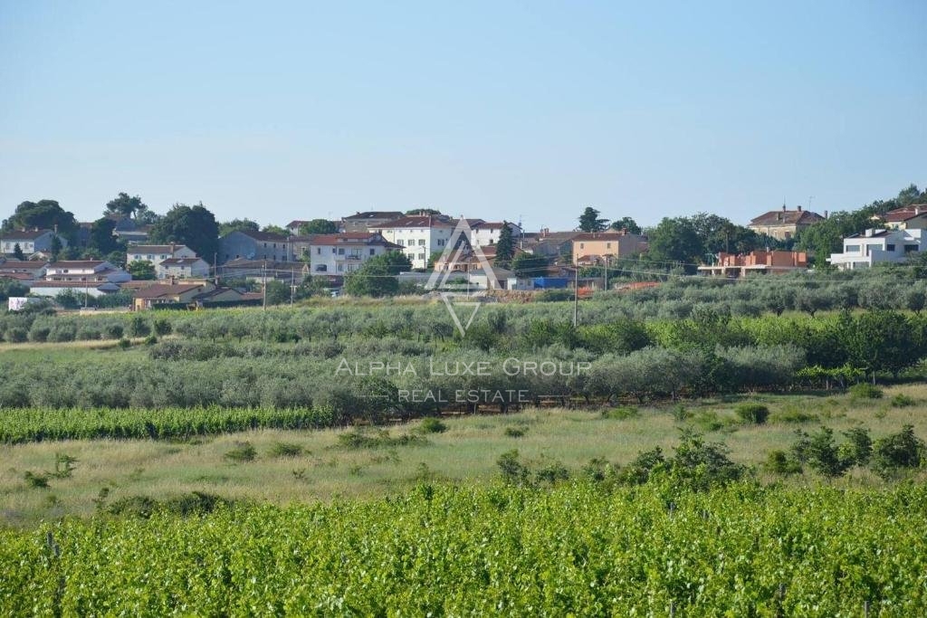 Elegante Tenuta Agricola a Višnjan, Istria: Viste Mozzafiato sul Mare