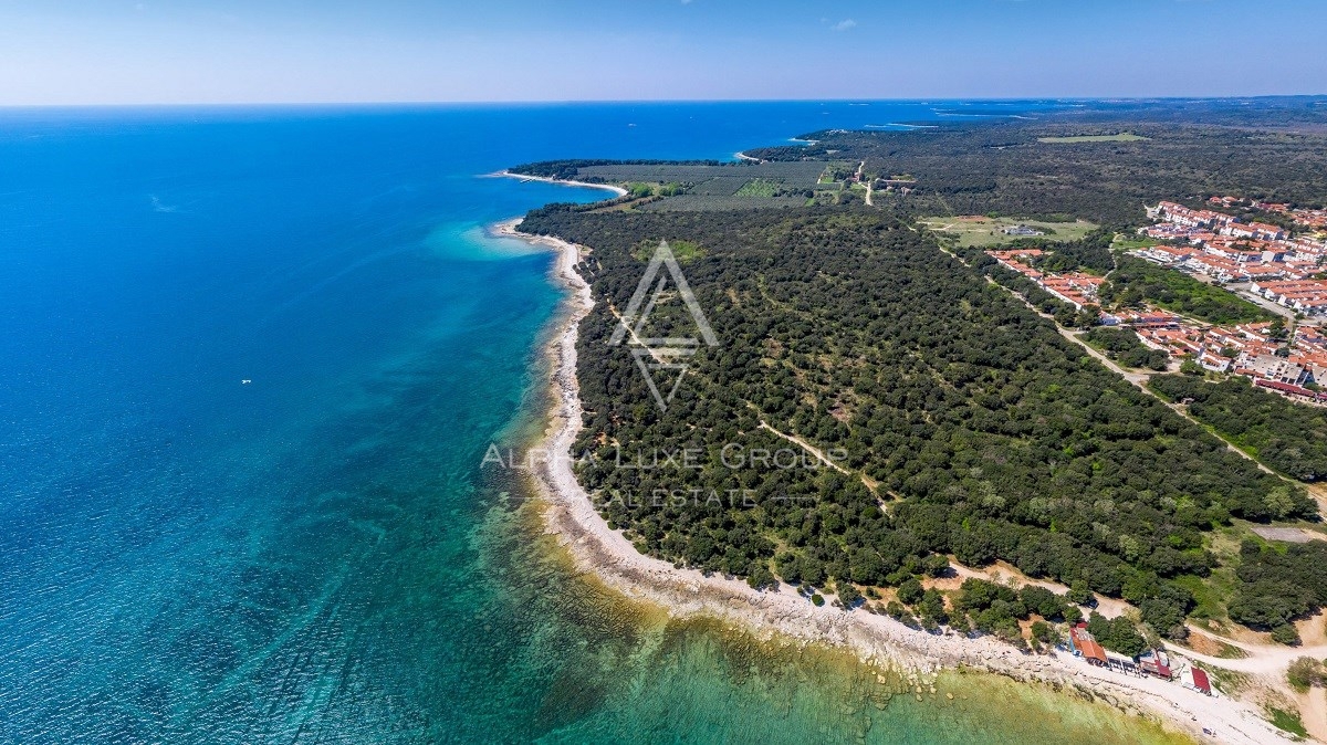 Betiga, Istria: Villa vista mare con piscina e cucina