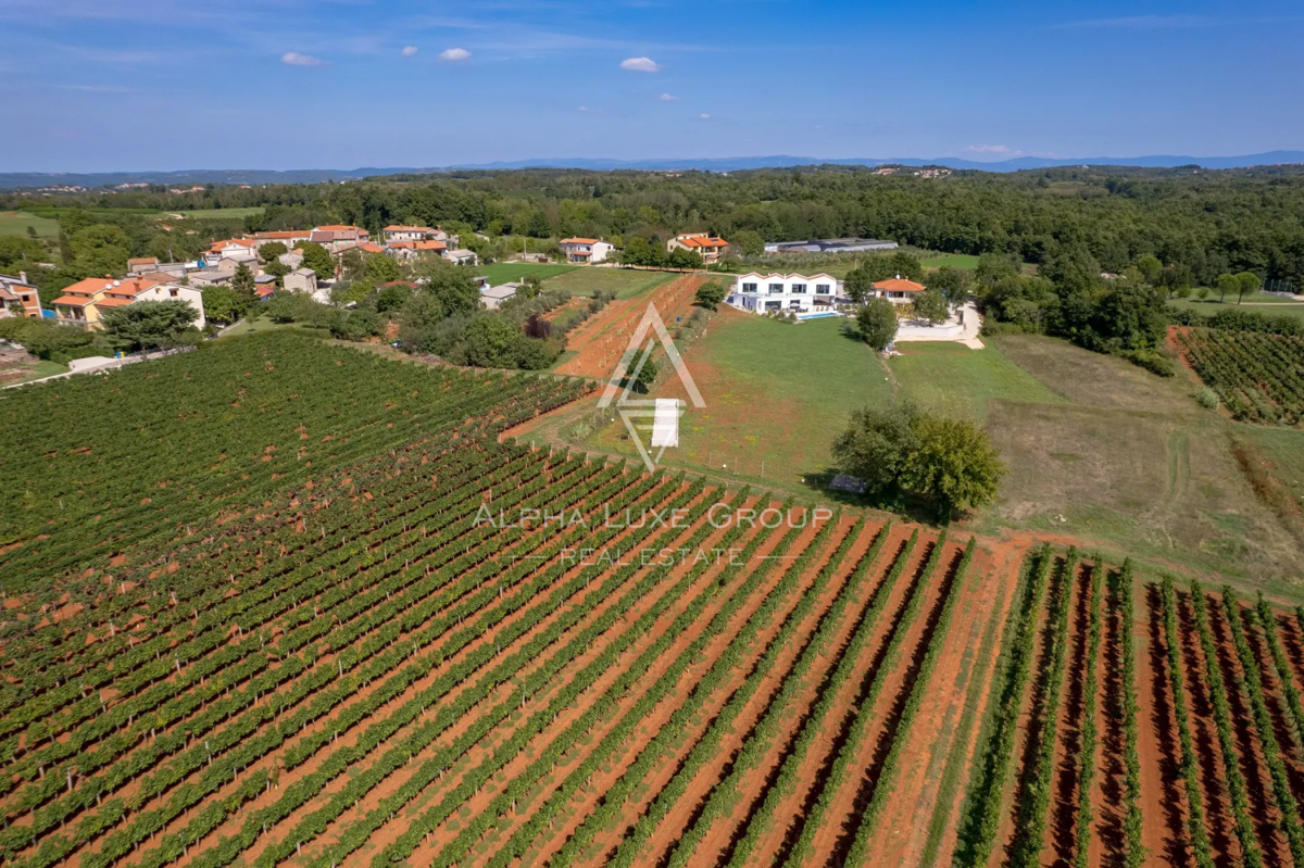 Istria, Višnjan: Villa di lusso con piscina