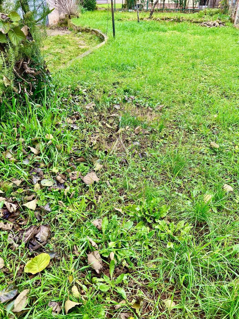 Istria, Umag: Appartamento giardino garage vicino mare