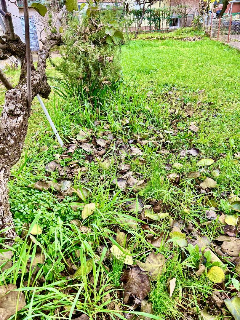 Istria, Umag: Appartamento giardino garage vicino mare