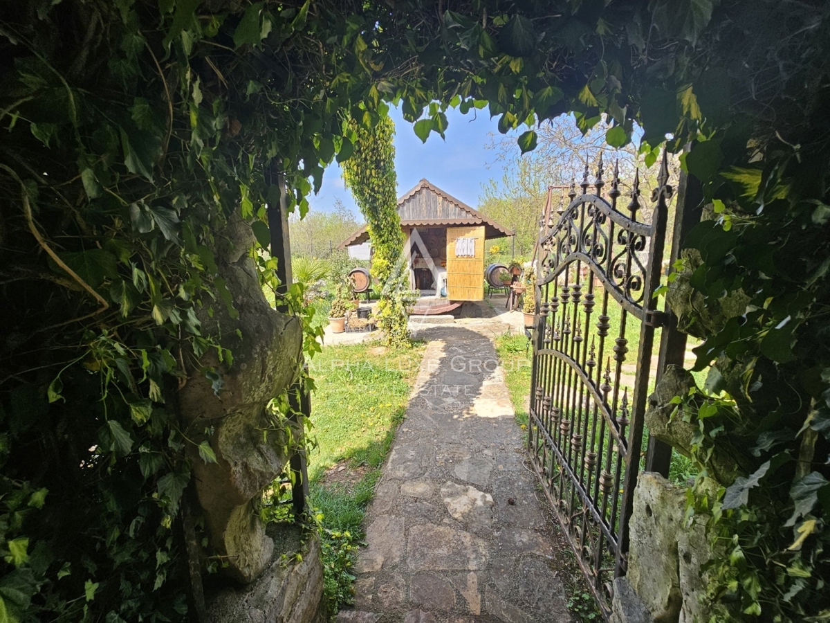 Istria, Buje, Casa in pietra rustica con ampio giardino in vendita