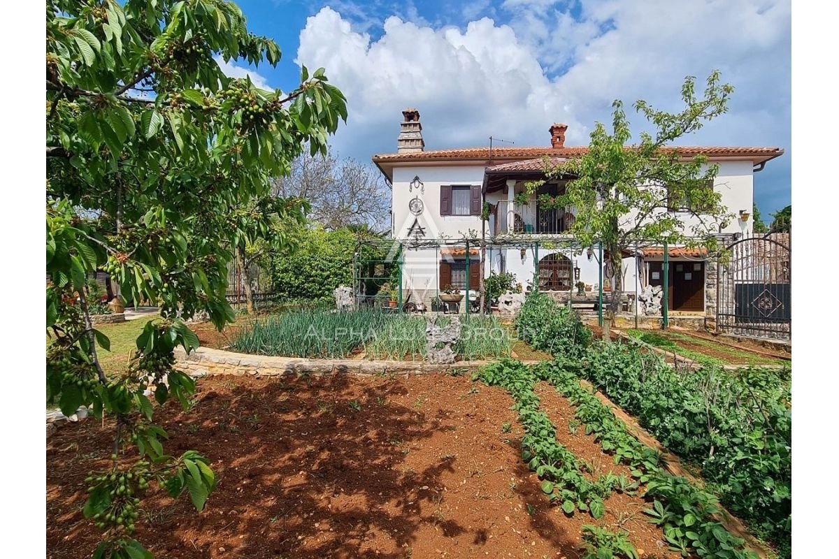 Istria, Buje, Casa in pietra rustica con ampio giardino in vendita