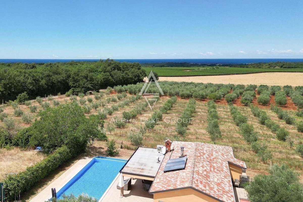 ISTRIA, NOVIGRAD - Elegante proprietà isolata con ampia piscina