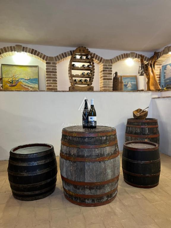 Istria, Rakalj: Villa di lusso con piscina e giardino