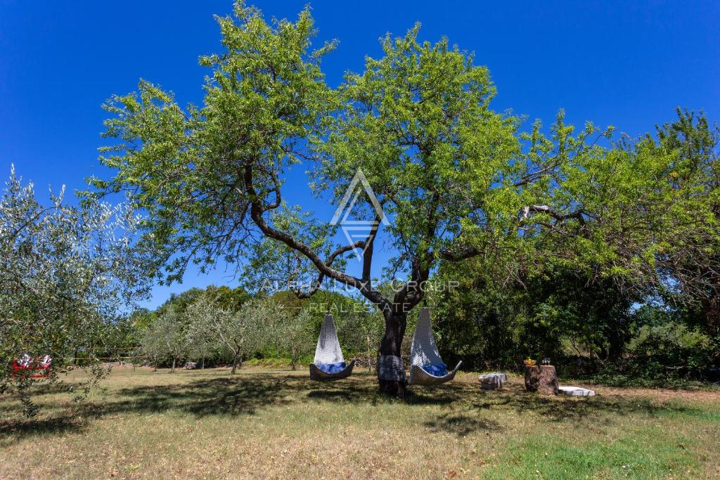 Istria, Rakalj: Villa di lusso con piscina e giardino