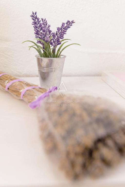 Istria, Sveti Lovreč: Villa autentica con piscina