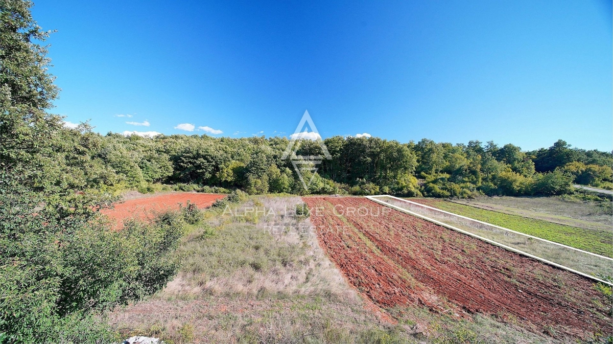 Istria, Kanfanar, Terreno edificabile in un ambiente verde