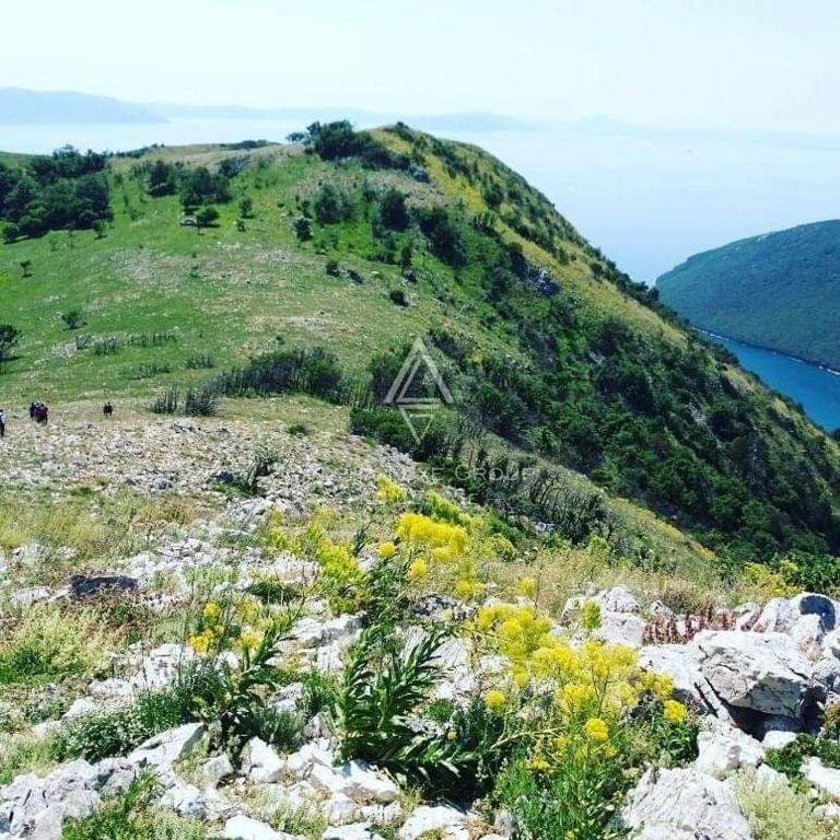 Labin, Istria: Casa versatile con spazio commerciale in vendita