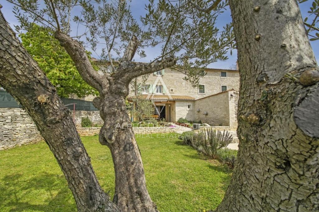 Svetvinčenat, Istria – Autentica casa in pietra con piscina