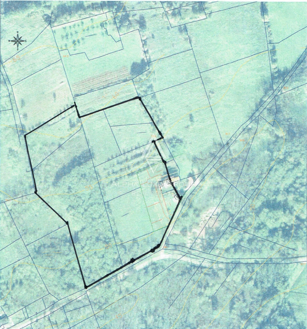 Brtonigla, Istria: Terreno edificabile e agricolo