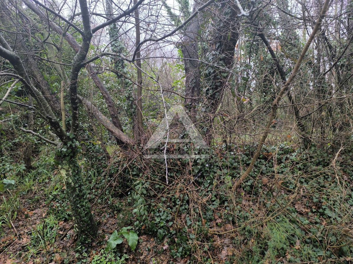 Terreno Umag, 3.300m2