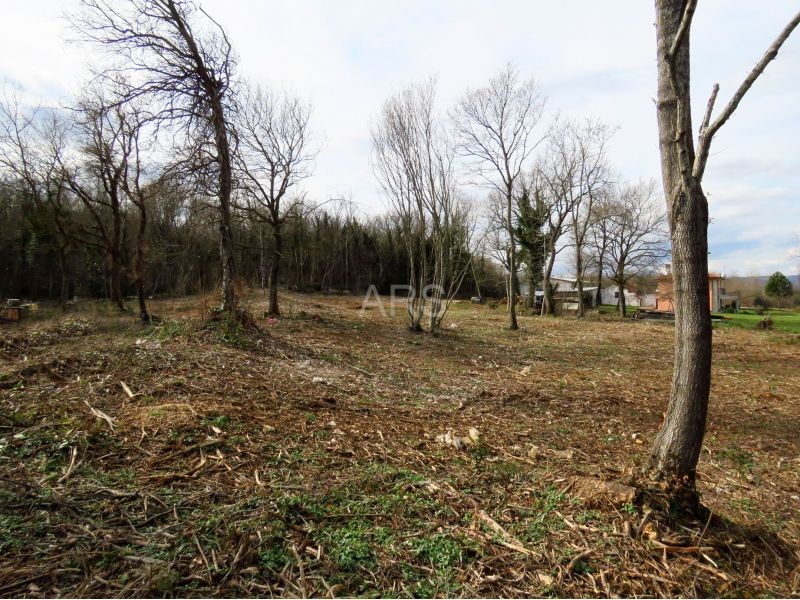 LARGE PLOT WITH NICE VIEW OF MOUNTAINS