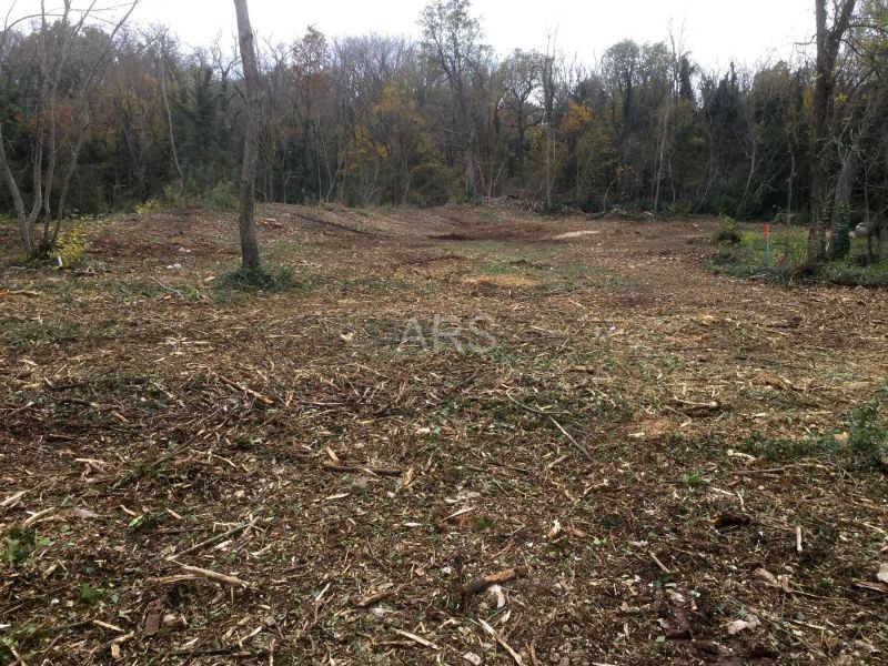 LARGE PLOT WITH NICE VIEW OF MOUNTAINS