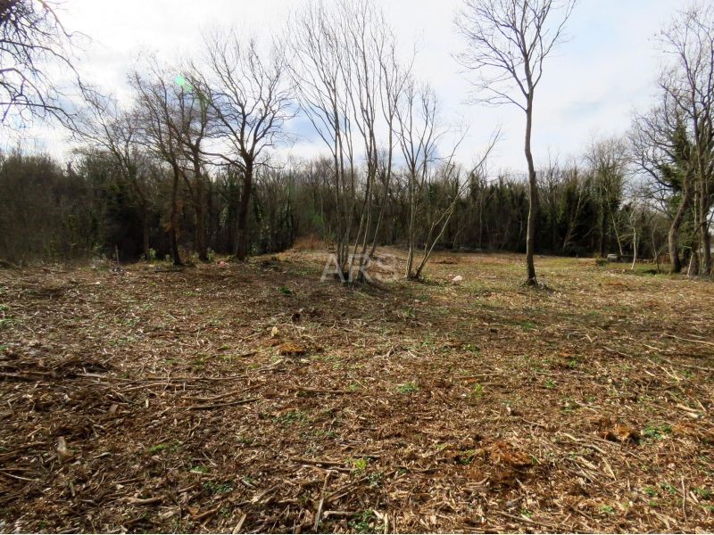 LARGE PLOT WITH NICE VIEW OF MOUNTAINS