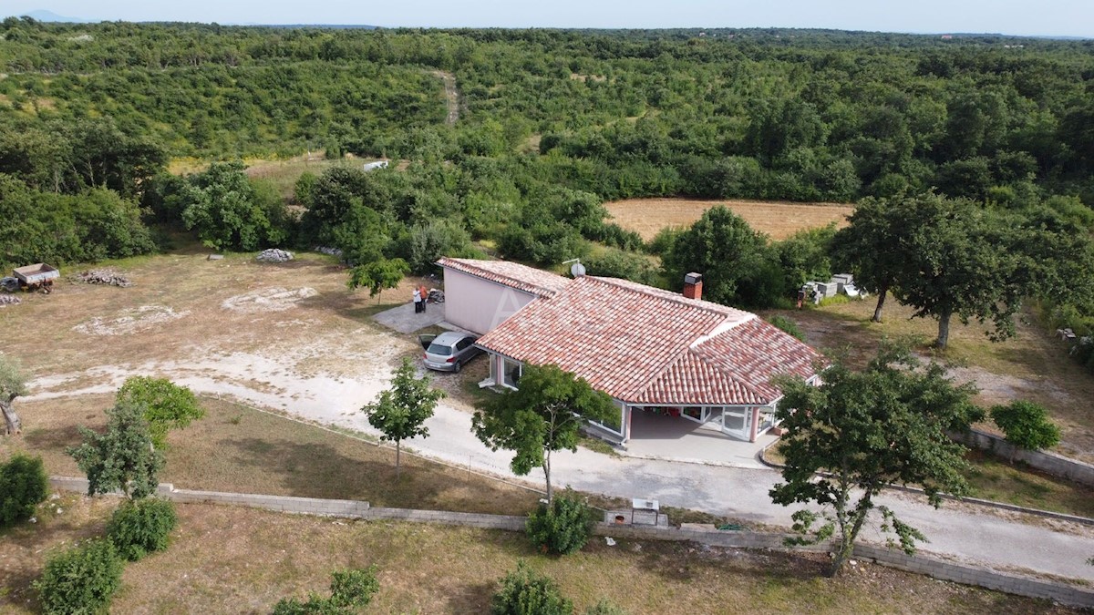 LARGE PROPERTY WITH HOUSE