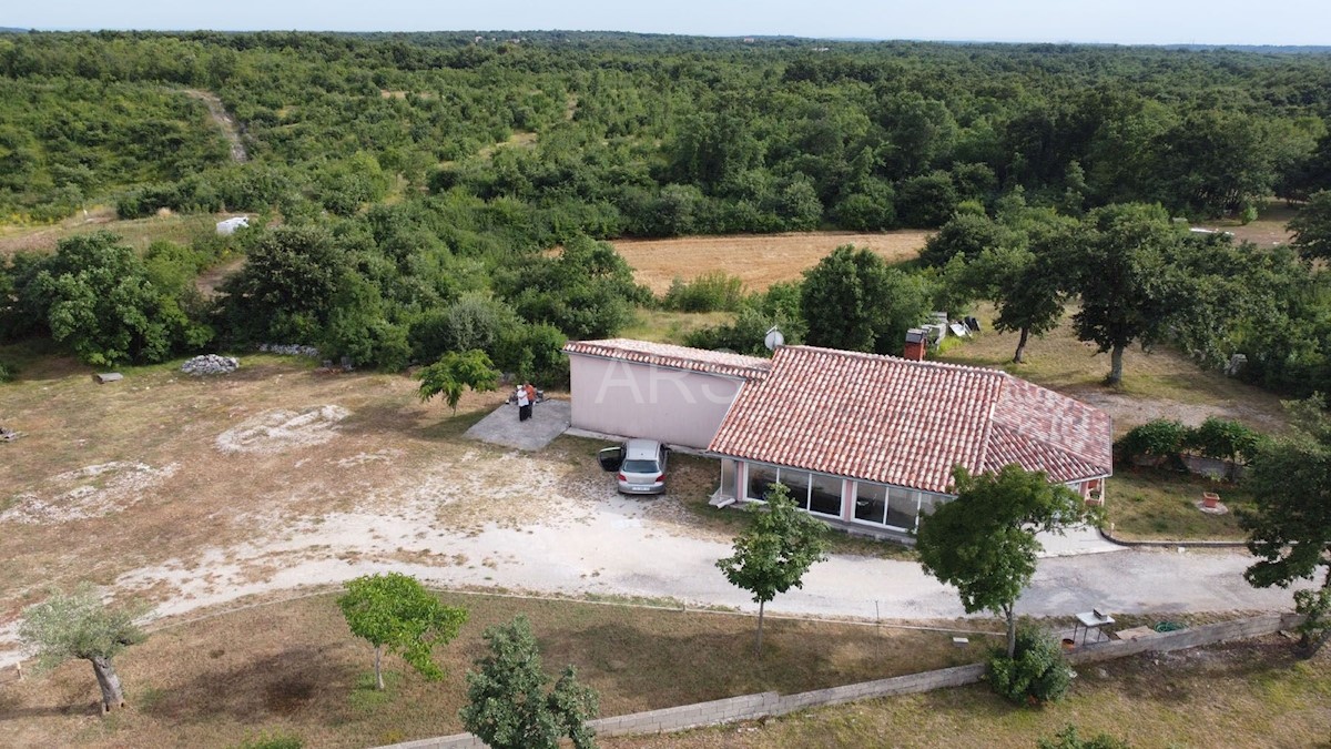 LARGE PROPERTY WITH HOUSE