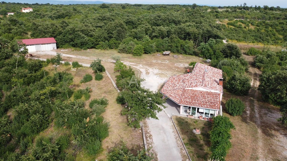 LARGE PROPERTY WITH HOUSE