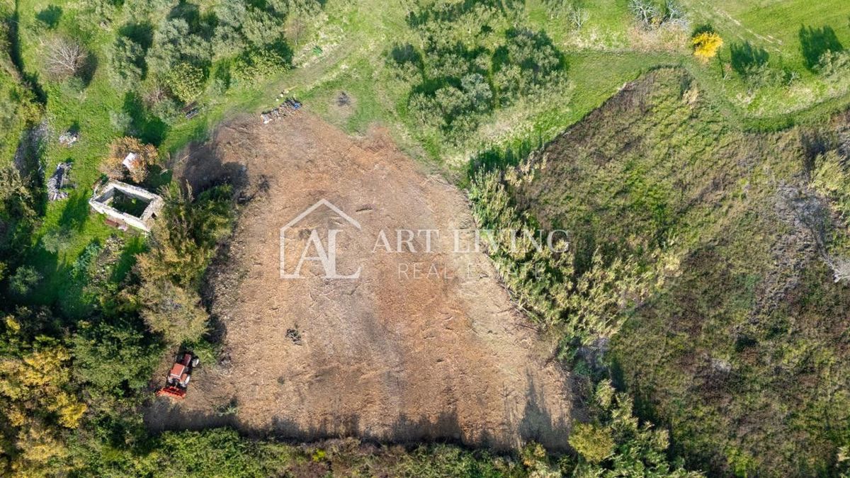 Buje, attraente terreno agricolo di 2.700 m² adiacente a una zona edificabile.